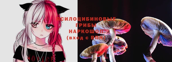 стафф Лихославль