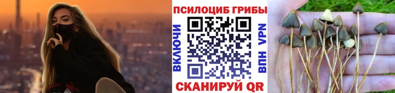 Псилоцибиновые грибы Cubensis  маркетплейс состав  Оренбург 